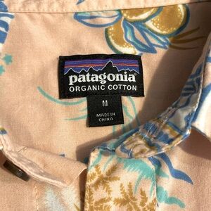 Patagonia dress shirt